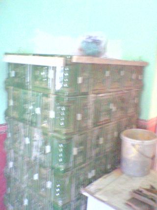SP_A0501-1.jpg
